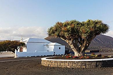 模拟经营游戏《汉尘.腐草为萤》Steam页面上线 第二季度发售